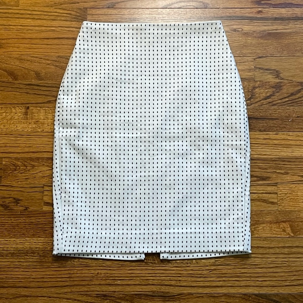 Express Pencil Skirt